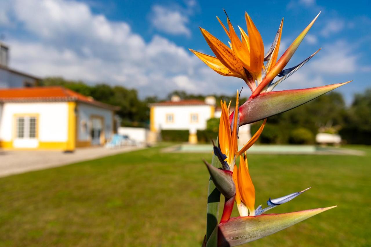 Quinta Do Pe Descalco Guesthouse Sintra Exterior photo